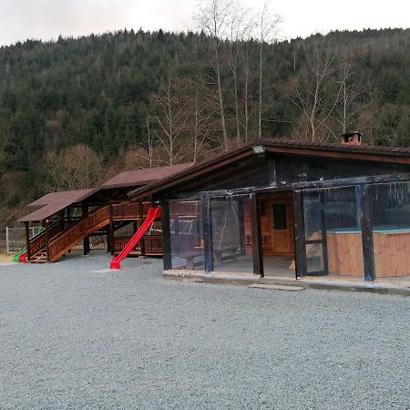 Pensiunea Armonia Albac Exterior foto